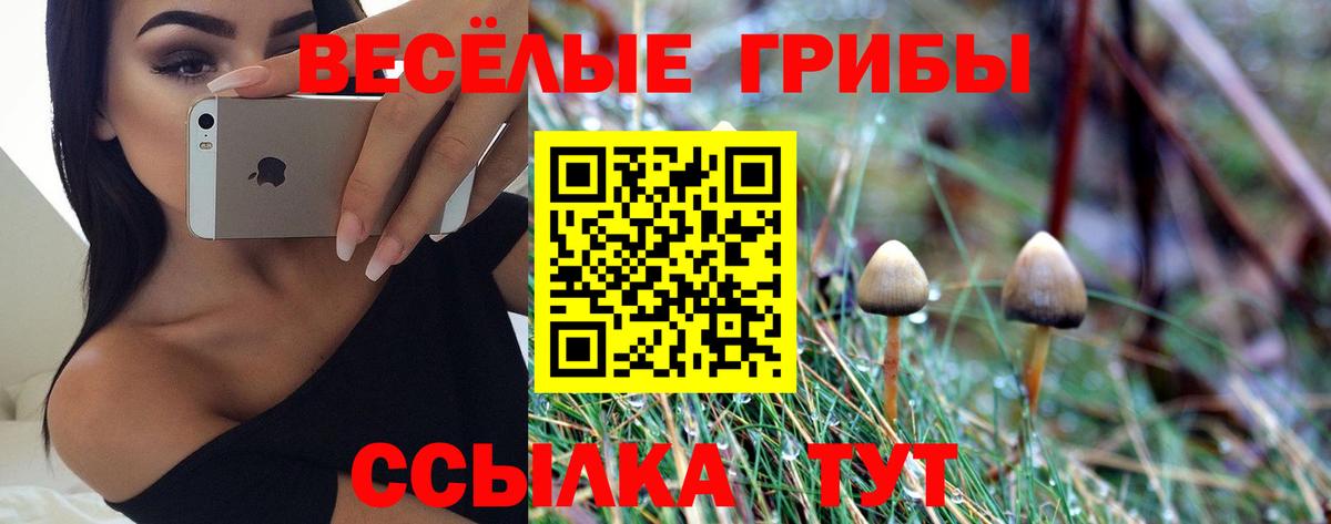 Губкин  Псилоцибиновые грибы Magic Shrooms  Вход с VPN  как найти   Галлюциногенные грибы мухоморы 