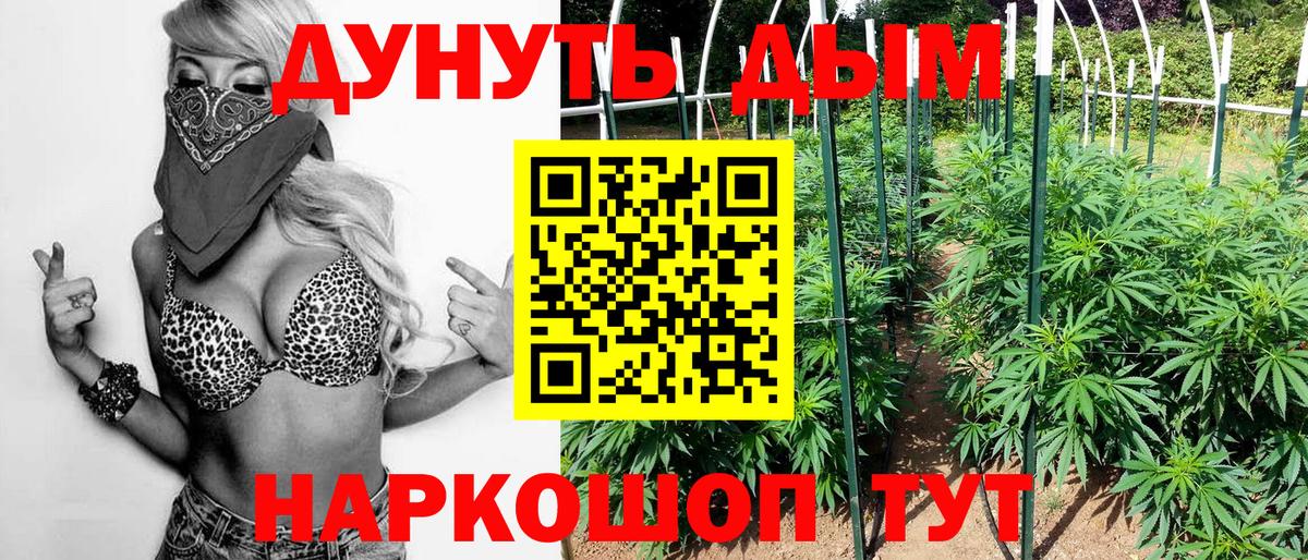 Канабис конопля Губкин